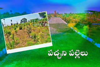 villages-in-khammam-district-are-developed-with-the-help-of-palle-pragathi-scheme