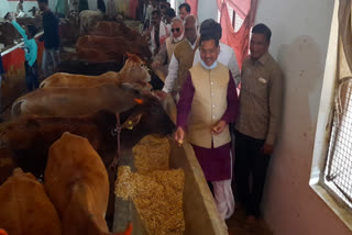 inauguration of-cow-dung-making-machine