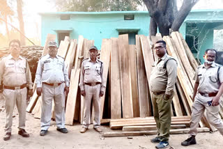 Teak wood recovered in raids at gariyaband