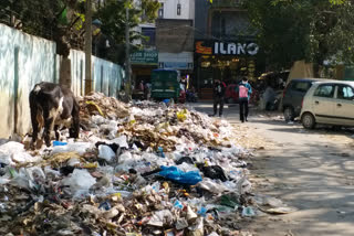 garbage problem in tilak nagar area