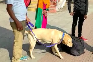 Narcotics Dog Squad Unit to be deployed in Ranchi Rail Division