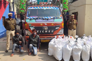 Two members of the Ganja smuggler gang arrested with 525 kg of cannabis
