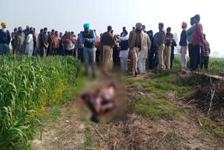 the-dead-body-found-in-the-fields-of-sanchayat-member-of-thehbaneda-village-of-guhla-chika