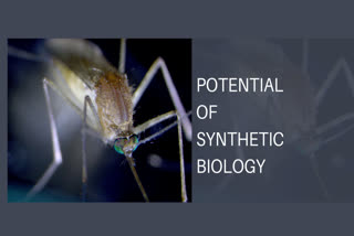 synthetic biology , CSIRO