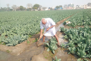 farmers opinion on speech of Prime Minister Narendra Modi in Rajya Sabha