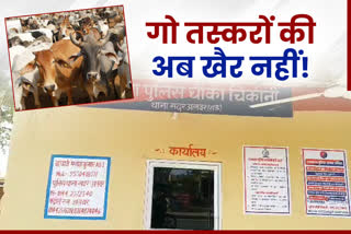 rajasthan police action plan, cow smuggler in alwar, alwar police station