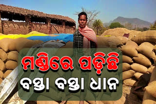 goverment didnot buying paddy packets from nuapada sana maheswara mandi