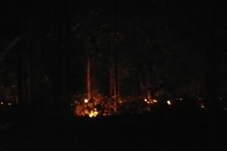 Haldwani forest Fire