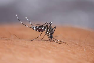 first case of dengue registered in Delhi