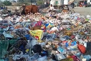 garbage-dump-near-kali-mata-temple-in-delhi