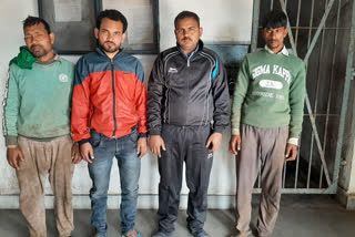 4 Cattle smuggler arrested from ramgarh