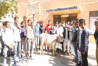 Protest of students in Barmer, Protest against JNVU Vice Chancellor