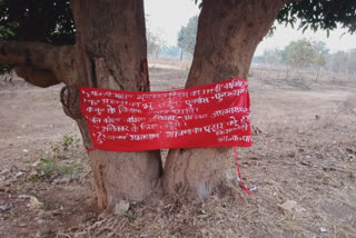 Naxalites announced to celebrate Bhumkal Day by putting up banners and posters IN KANKER