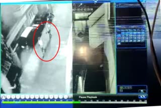 thives visuals captures in cctv