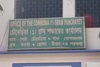 TMC wins in gram panchayet pradhan election in bangaon