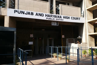 Muslim woman does not have the right to second marriage without divorcing but Muslim man has right punjab haryana high court