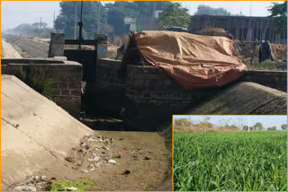 धौलपुर का सिंचाई विभाग, Dholpur Irrigation Department