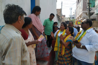 TDP leader Anita campaigning in Payakaravupeta Major Panchayat elections in Visakhapatnam district