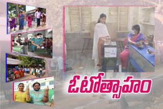 gram panchayat elections in andhra pradesh