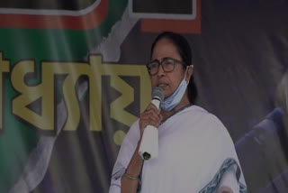 BJP will loot farmers  take their land  alleges Mamata  BJP will loot farmers, take their land, alleges Mamata  കർഷകരെ കൊളളയടിക്കുന്ന നിലപാടാണ് ബിജെപിക്കെന്ന് മമത  കൊൽക്കത്ത  കൊൽക്കത്ത വാർത്തകൾ