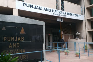 punjab haryana highcourt