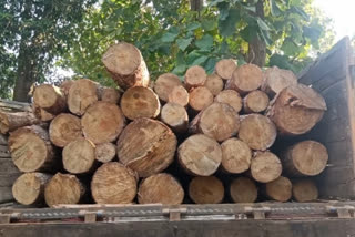 TIMBER SEIZED AT ASSAM MEGHALAYA BORDER