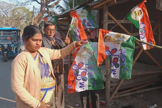 তৃণমূলের পতাকা ছেঁড়ায় অভিযুক্ত বিজেপি, বিক্ষোভ দেগঙ্গায়