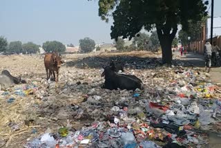 bhiwani park becomes a garbage dump