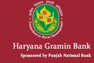 fatehabad all Haryana Gramin Bank