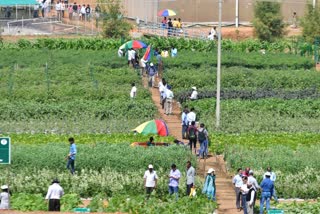 ರಾಷ್ಟ್ರೀಯ ತೋಟಗಾರಿಕಾ ಮೇಳ