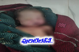 With the negligence of the doctors the baby died in jogulamba gadwal district