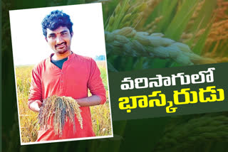 special story on young farmer Golconda Bhaskar from Rajakkapally, Jayashankar‌ Bhupalpally District