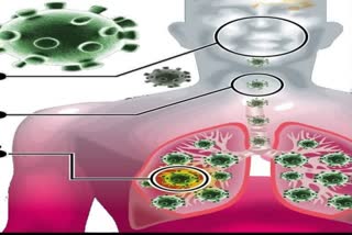 Protein behind less spread of coronavirus variant in Asia