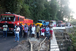 Kochi-Dhanushkodi National Highway  National Highway traffic obstructed  Kochi-Dhanushkodi  traffic obstructed  കൊച്ചി-ധനുഷ്‌ക്കോടി  കൊച്ചി-ധനുഷ്‌ക്കോടി ദേശീയപാത  ദേശീയ പാത  വാളറ  വാളറ ദേശീയ ഹൈവേ