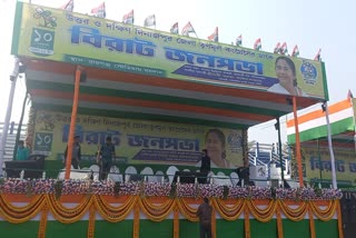 public meeting of mamata banerjee is in raiganj