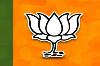 BJP issues whip to its LS members to be present in House today