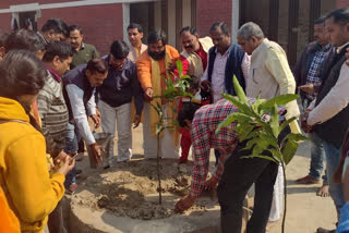 अयोध्या में पवित्र स्थलों पर रोपे पौधे