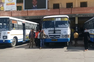 92 roadways buses operating, jodhpur news