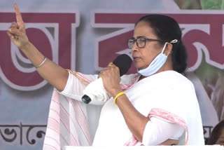 west bengal assembly election 2021_mamata wants malda's full support in upcoming assembly election