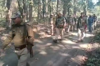 patrolling in surai forest range