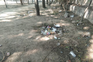 anti-social activity in Delhi dwarka park