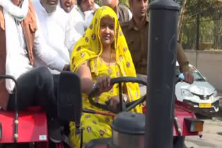 congress MLA indira meena eaches with tractor in rajasthan assembly support of farmers Agricultural law Farmers movement Rajasthan Congress Rajasthan BJP Indira Meena reaches state assembly on tractor Congress MLA drives tractor காங்கிரஸ் பெண் எம்எல்ஏ இந்திரா மீனா காங்கிரஸ் சட்டப்பேரவைக்கு டிராக்டரில் வந்த பெண் எம்எல்ஏ பெண் எம்எல்ஏ