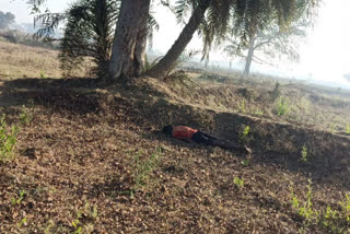 police found a dead body in bhilai