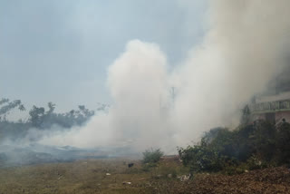 chikkamagaluru-accidental-fire-to-nut-peel