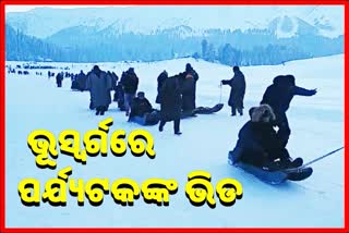 Tourists enjoy in Famous tourist resort Gulmarg