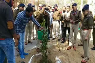 Cyber police station inaugurated in Rewari