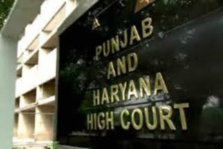 On attaining puberty, Muslim girl can marry anyone by law: Punjab, Haryana HCs