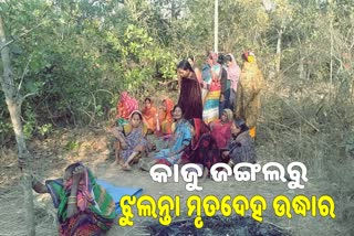 କାଜୁ ଜଙ୍ଗଲରୁ ଯୁବକଙ୍କ ଝୁଲନ୍ତା ମୃତଦେହ ଉଦ୍ଧାର