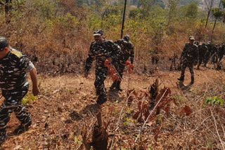 search campaign against naxalites continues in chaibasa