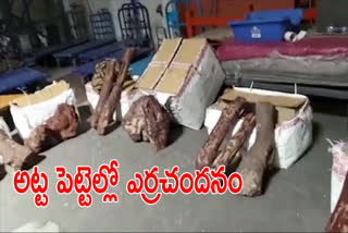 Red sandalwood logs are being smuggled in bedsheets at chennai airport